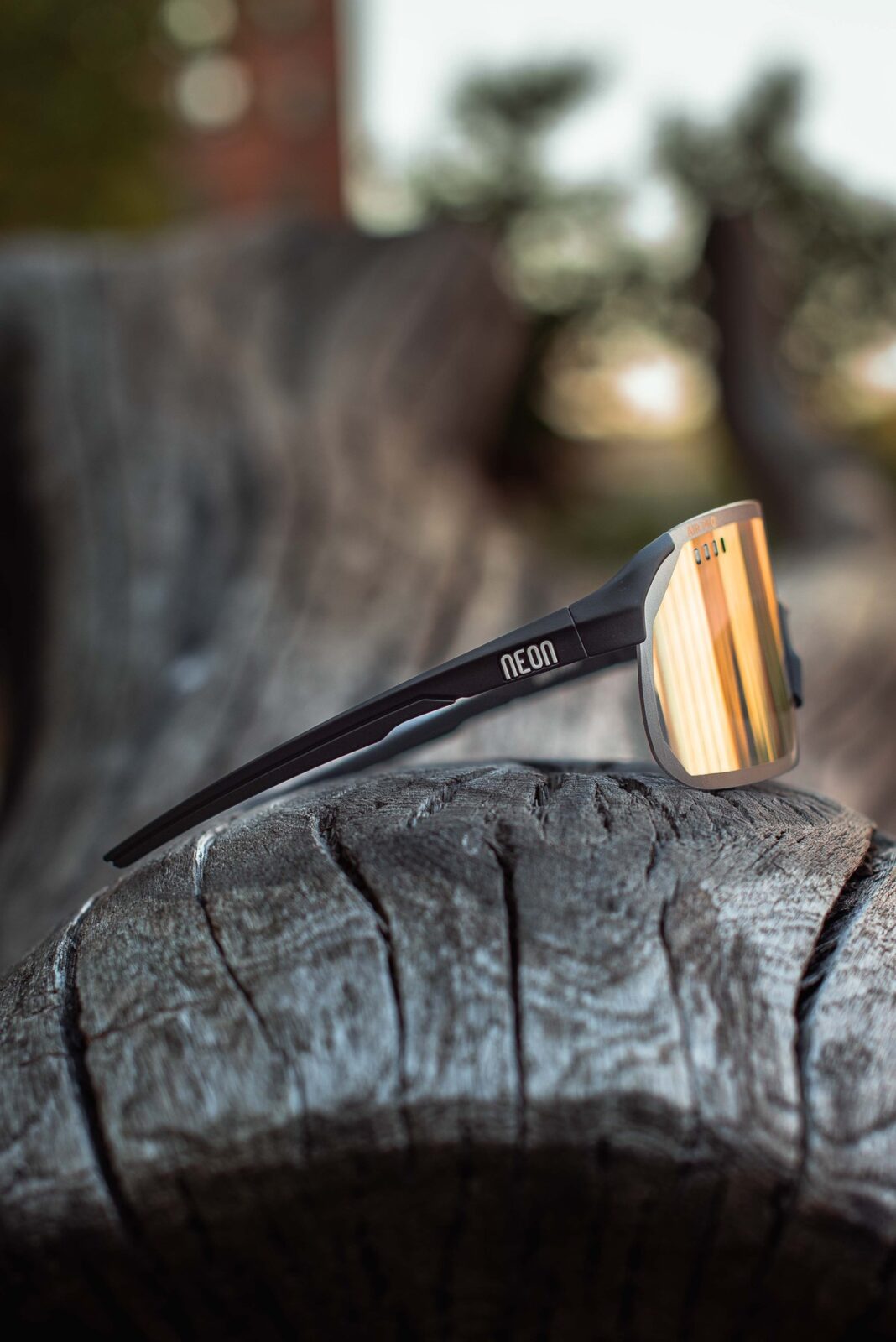 Очки Neon Air Pro (Photochrom) Black/Bronze