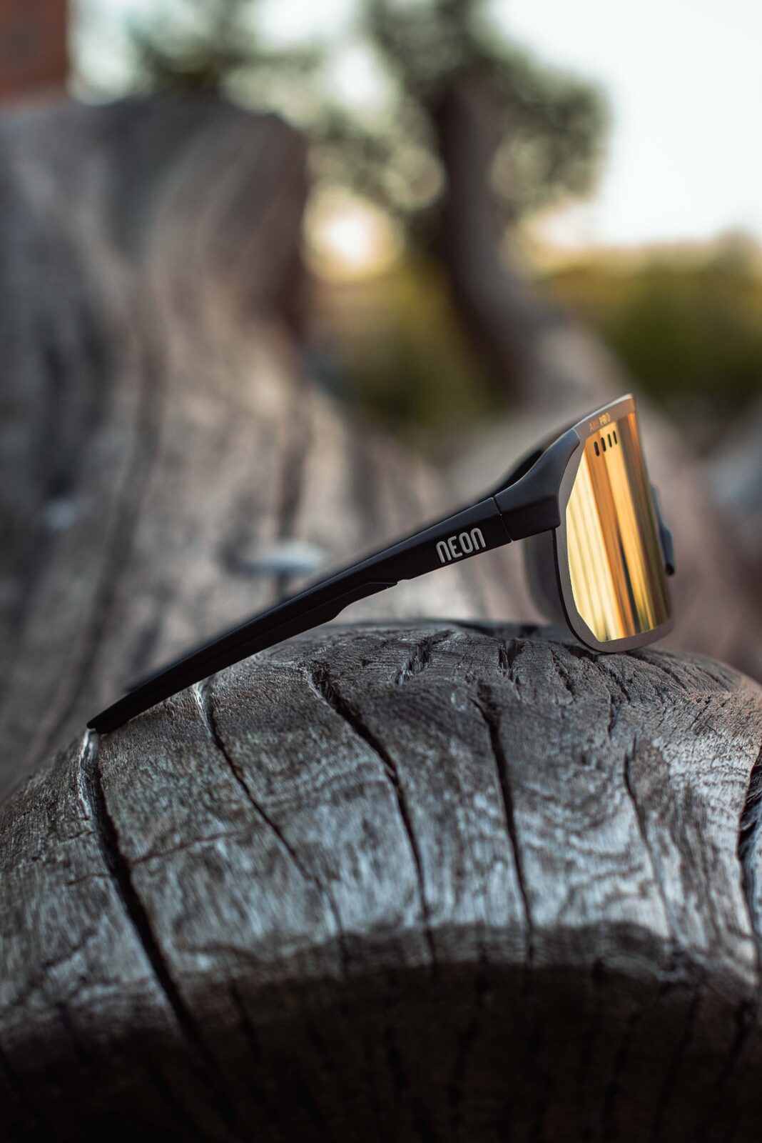 Очки Neon Air Pro cat.3 Black/Bronze