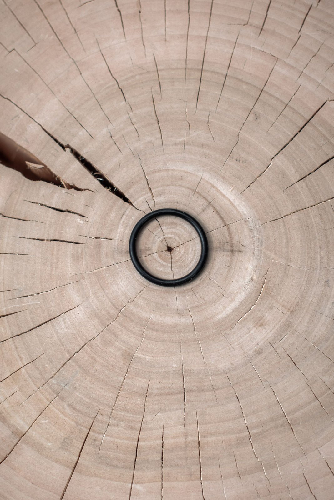 Стропа Knog Plus